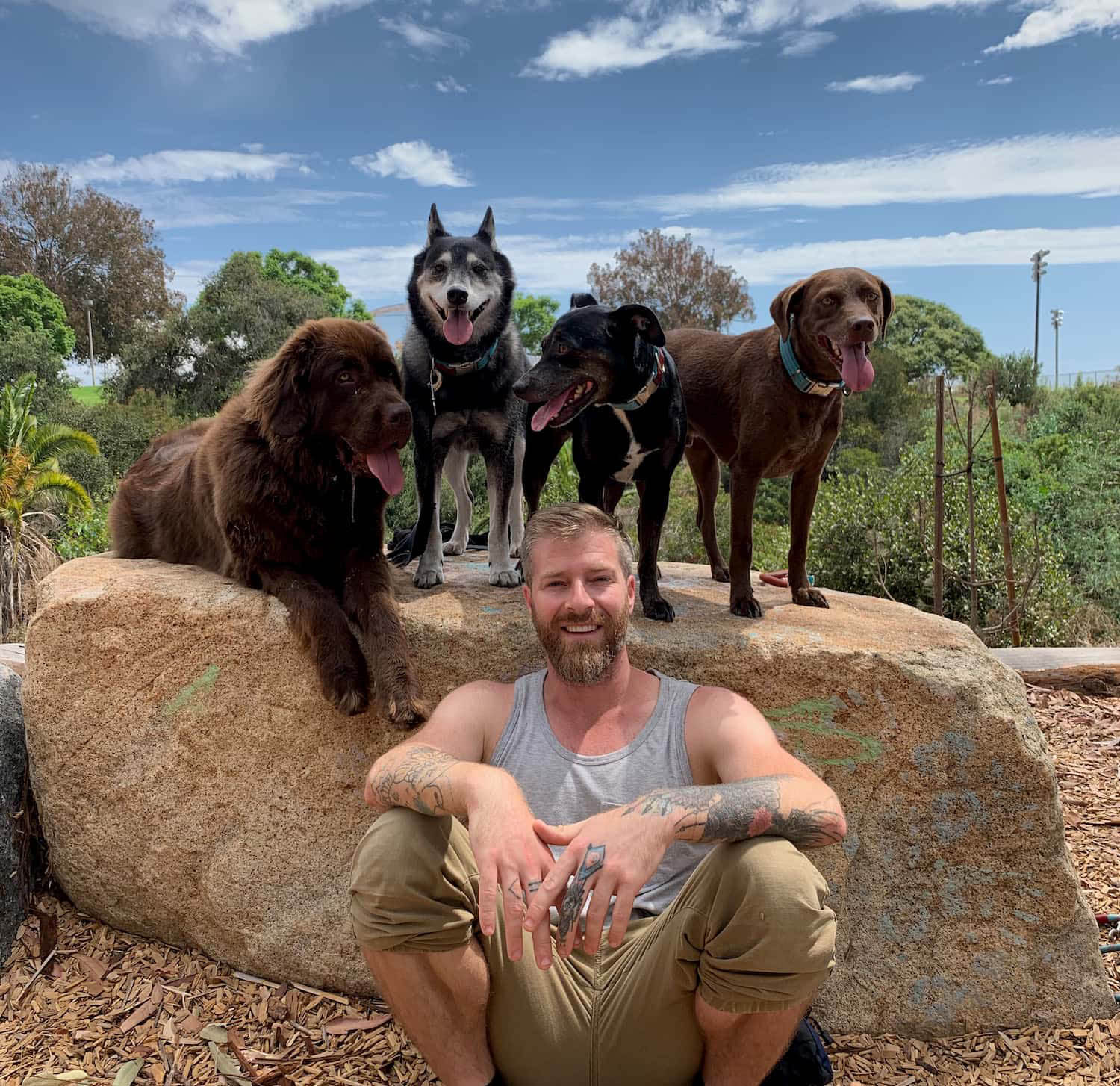 Trainer sits in front of four trained dogs standing on a rock above him in San Diego