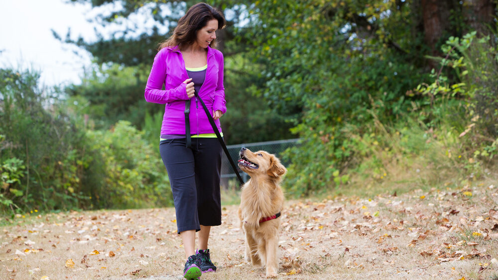 Learn How to Walk a Dog: Leadership, Part 1 2 Learn How to Walk a Dog: Leadership, Part 1 2