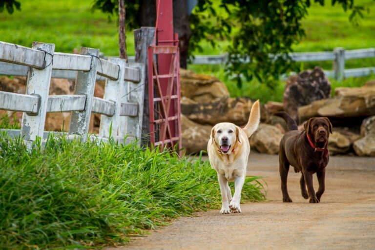 Home Page 5 Home Page 5